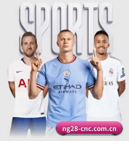 本站五个常用功能入口,赛程查询路径更短 | NG28
